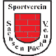 Avatar Bild für SV Sachsen Püchau