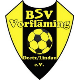 Avatar Bild für BSV Vorfl. Deetz/Lindau