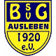 Avatar Bild für SV Blau-Gelb Ausleben 1920