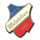 Avatar Bild für MTV 1887 Welsleben