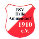 Avatar Bild für BSV Halle-Ammendorf 1910