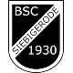 Avatar Bild für BSC 1930 Siebigerode