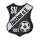 Avatar Bild für SV Zöschen 1912