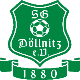 Avatar Bild für SG Döllnitz e.V.