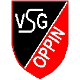 Avatar Bild für VSG Oppin