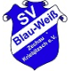 Avatar Bild für SV BW Zechau-Kriebitzsch