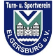 Avatar Bild für TSV 1880 Elgersburg