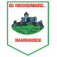 Avatar Bild für SG Wachsenburg Haarhausen e.V.