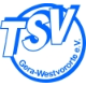 Avatar Bild für TSV Gera-Westvororte