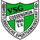 Avatar Bild für VSG 1960 Cossengrün