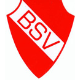 Avatar Bild für Bodelwitzer SV