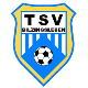 Avatar Bild für TSV 1990 Bilzingsleben