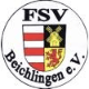 Avatar Bild für FSV Beichlingen