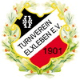 Avatar Bild für Turnverein Elxleben