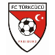 Avatar Bild für Türkgücü Freiburg