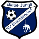 Avatar Bild für SV Brachtendorf