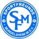 Avatar Bild für SF Mundelsheim