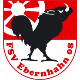 Avatar Bild für FSV Ebernhahn 08