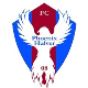 Avatar Bild für FC Phoenix Halver