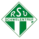 Avatar Bild für RSV Schwelentrup 1928