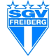 Avatar Bild für SGV Freiberg Fußball