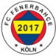 Avatar Bild für Fenerbahce Köln