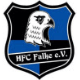 Avatar Bild für HFC Falke