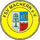 Avatar Bild für FSV Machern