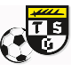 Avatar Bild für TSG Balingen Fußball