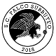 Avatar Bild für SC Falco-Subbuteo
