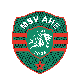Avatar Bild für MSV Ahe