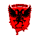 Avatar Bild für FC Kosova Hameln