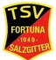 Avatar Bild für TSV Fortuna Salzgitter