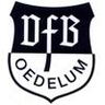 Avatar Bild für VFB Oedelum v.1945 e.V.