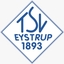 Avatar Bild für TSV Eystrup I