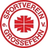 Avatar Bild für SV Grossefehn e.V.