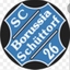 Avatar Bild für SC Borussia 26 Schüttorf