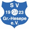 Avatar Bild für SV Groß Hesepe 1923 e.V.