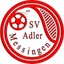 Avatar Bild für SG Messingen/Bramsche 2