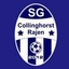 Avatar Bild für SG Rajen II /Collinghorst II