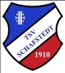 Avatar Bild für TSV Schafstedt