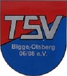Avatar Bild für TSV BIGGE-OLSBERG 06/08 E.V.