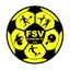 Avatar Bild für FSV Pivitsheide 2