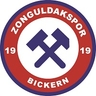 Avatar Bild für Zonguldakspor Bickern e.V. 