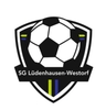 Avatar Bild für TURN-U.SPORTVEREIN LÜDENHAUSEN VON 1913 E.V.