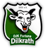 Avatar Bild für DJK Fortuna Dilkrath 3