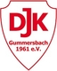 Avatar Bild für SG Gummersbach