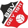 Avatar Bild für BSV GEY