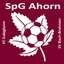 Avatar Bild für SpG Ahorn