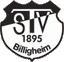Avatar Bild für JSG Billigheim/Elztal